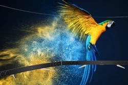 4K Refresh Rate ≠ 4K Resolution: Two LED Display Concepts You Might Be Confusing