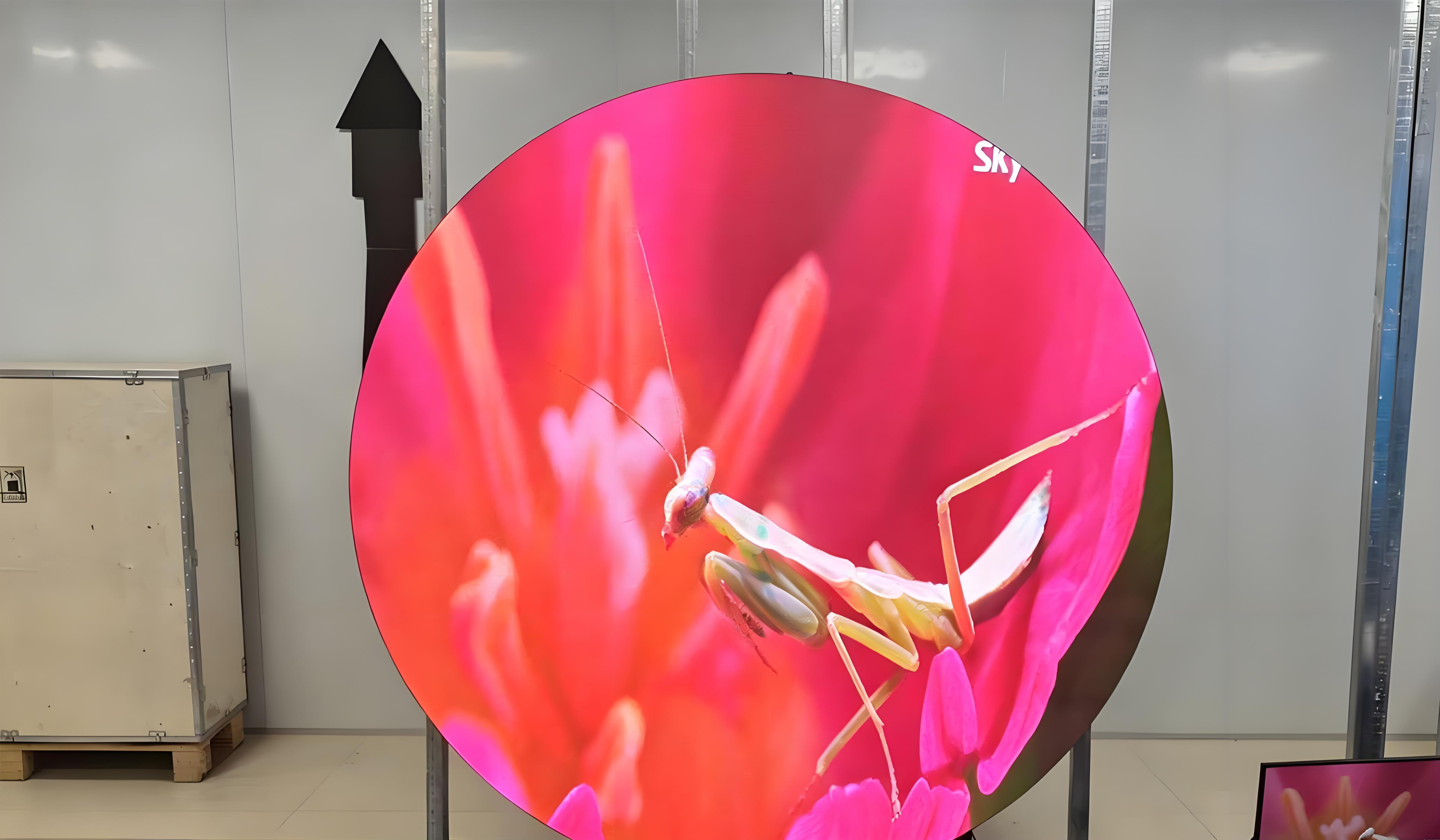 Case Study: Customizing LED Spherical Screens for Indonesian Clients