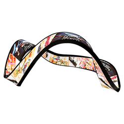 Mobius LED Display