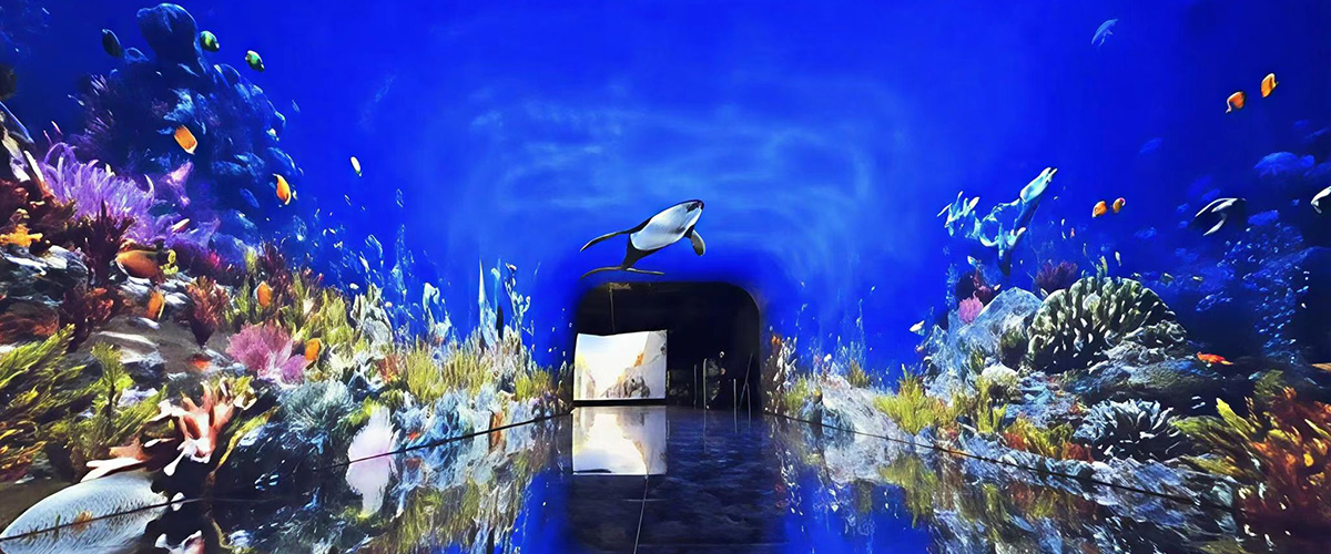Immersive-LED-display-experience